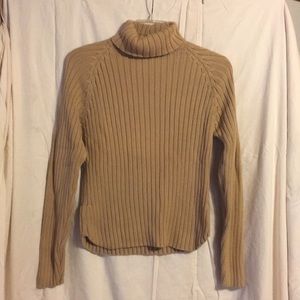 Gap turtle neck sweater Large